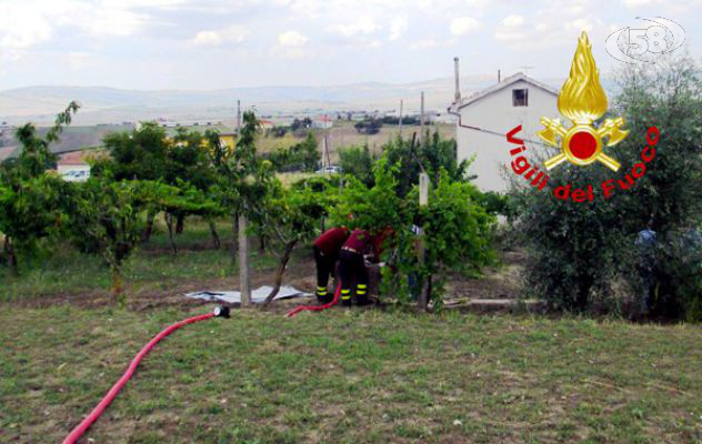 Ariano, donna di 84 anni trovata morta in un pozzo. E' giallo.  Aperta un'inchiesta
