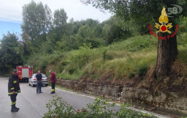 Nubifragio, allagamenti e rami in strada: danni in tutta la provincia