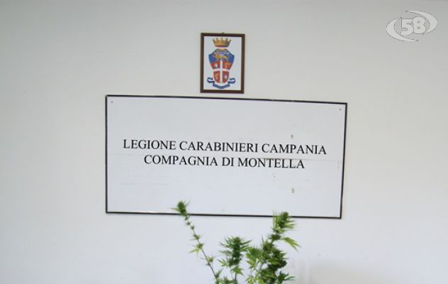 Coltiva e spaccia marijuana, arrestato dai Carabinieri