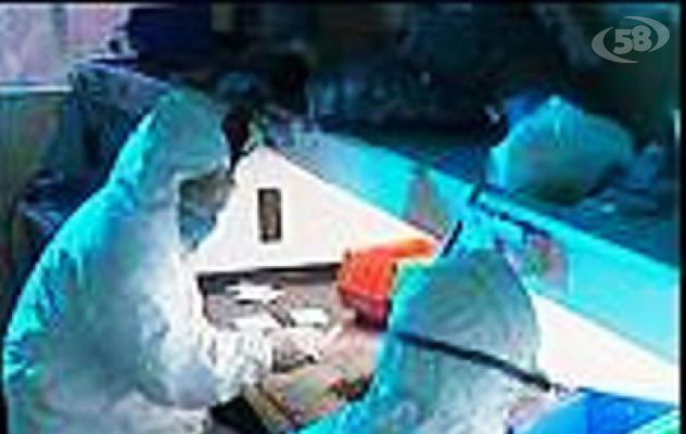 Biogem, la ricerca avanza: al via il Laboratorio di Genetica Forense