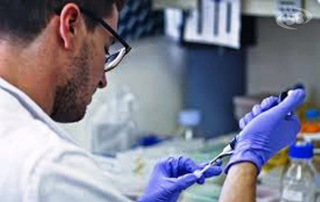 Genetica forense, al Biogem si inaugura il nuovo laboratorio