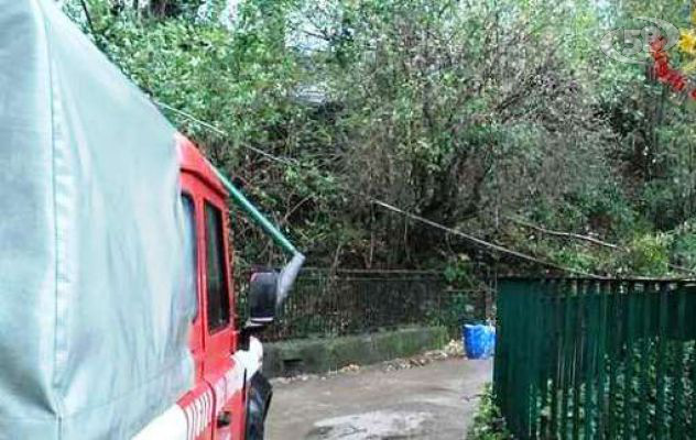 Nubifragio, il vento abbatte gli alberi: famiglie bloccate in casa/FOTO