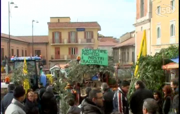 Giornata del ringraziamento, grande partecipazione sul Tricolle/VIDEO