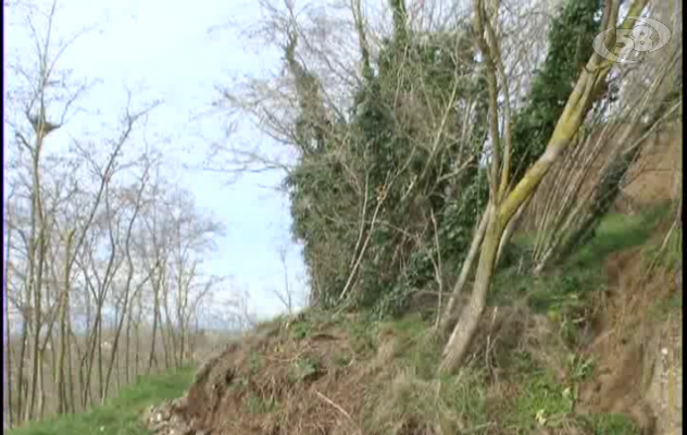 Ariano, ancora frane: è emergenza. E cade anche un albero/VIDEO