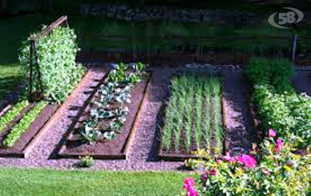 Sant'Angelo dei Lombardi, studenti all'opera nell'orto biologico