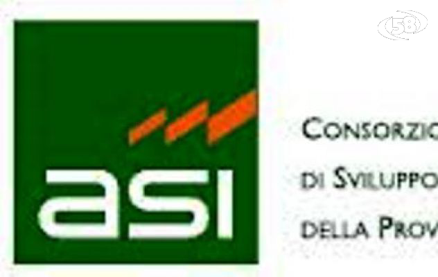 Asi, Picolne (Scelta civica): "Elezione da annullare"