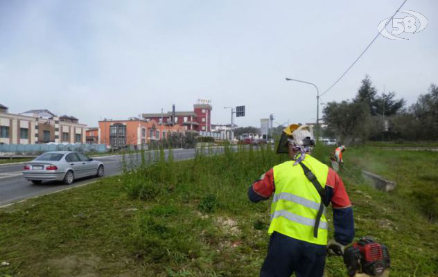 Dopo la denuncia di Canale 58, ripulita la rotatoria Manna ad Ariano