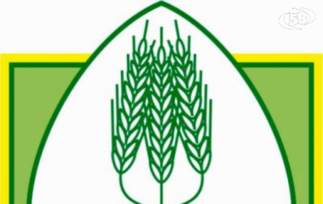 Fondo microcredito, Uecoop apre sportelli assistenza