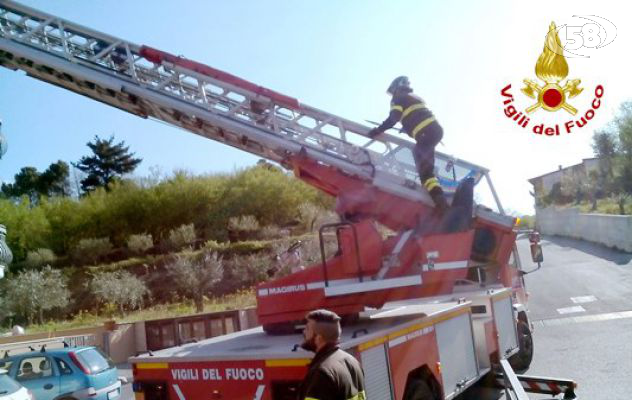 Incendio in un’azienda olearia, Arpa al lavoro per il monitoraggio dell’aria