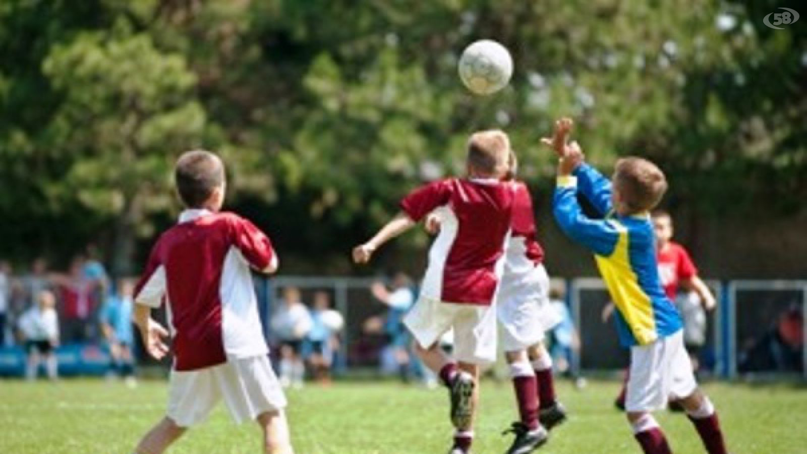 torneo bambini