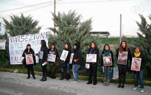 Ariano, gli attivisti "Veg Campania" contro la fiera della caccia e della pesca