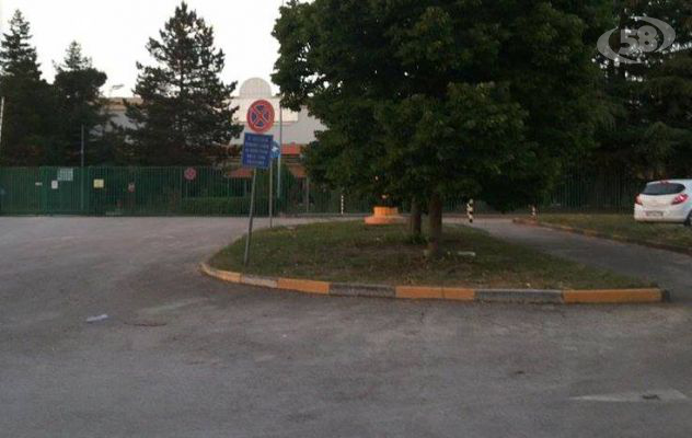 Industria Italiana Autobus, gli operai tra dubbi e speranze/VIDEO