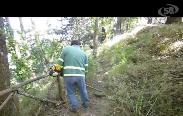 Ariano, al via l'operazione decoro urbano: bonificato boschetto Pasteni