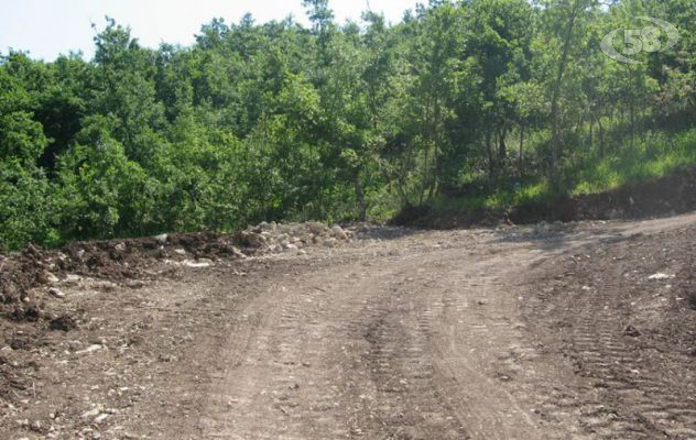 Fontanarosa, Forestale scopre costruzione abusiva