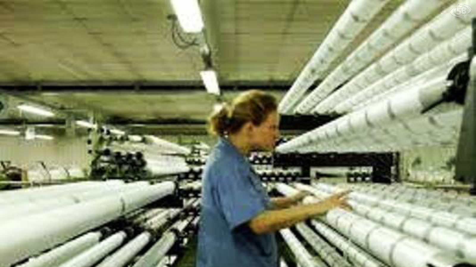 azienda