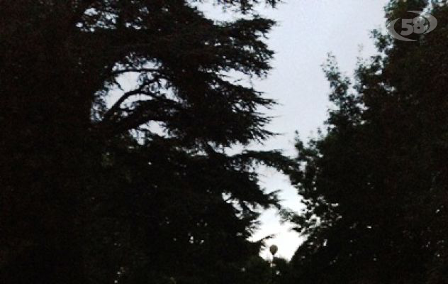 Ariano, Villa Comunale al buio: la denuncia di Cittadinanzattiva/FOTO