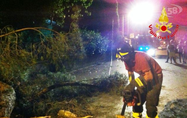 Montoro, albero trancia cavo della corrente