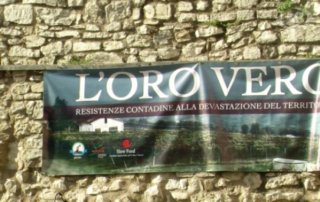 No al petrolio, comitati e produttori a Taurasi: ecco l'Oro Vero/VIDEO