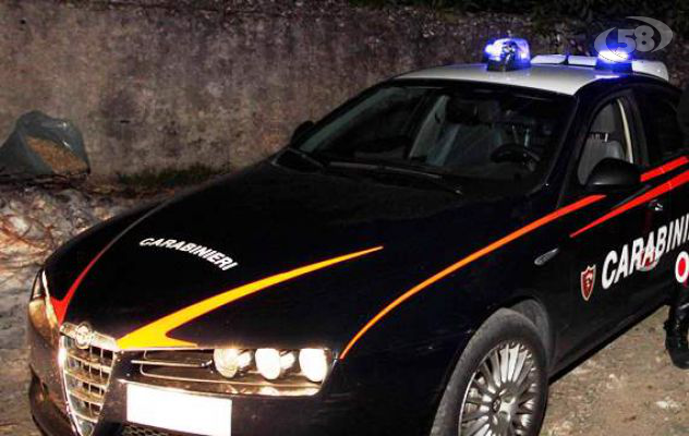 Si aggiravano nelle campagne di Montemiletto, i Carabinieri allontanano due persone