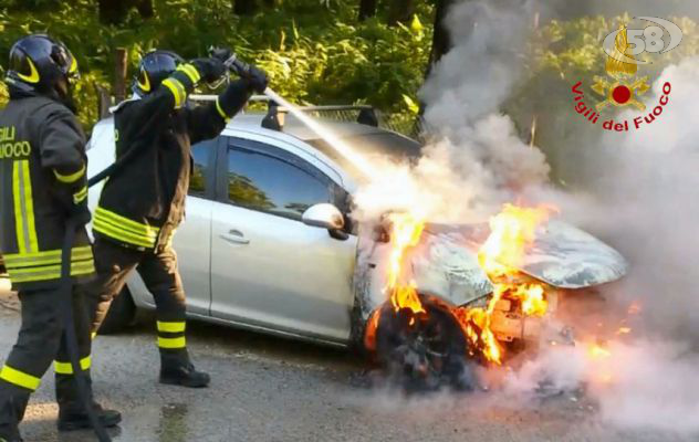 Va in cerca di funghi, torna e trova l'auto in fiamme