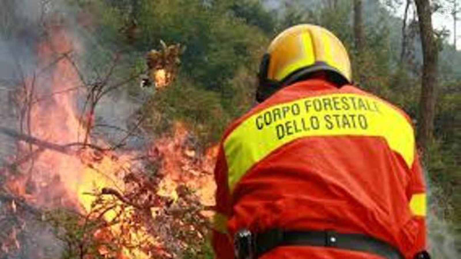 incendio forestale