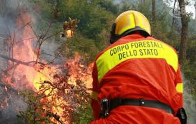 Incendi, la Campania tra le regioni più colpite dalle fiamme