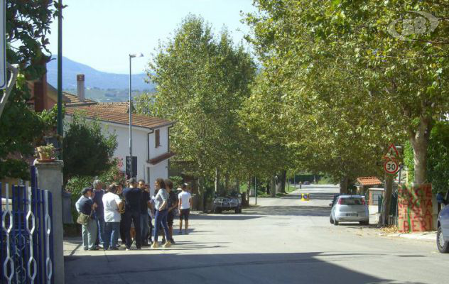Contro l'abbattimento degli alberi, a Fontanarosa parte la petizione popolare
