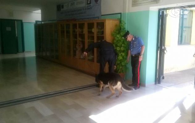 Sant'Angelo dei Lombardi, blitz anti-droga all'istituto "De Sanctis"