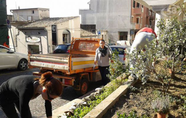 Ariano, ''Decoro urbano'' lancia il progetto ''adotta un'aiuola''/VIDEO. C'è l'ok del Comune