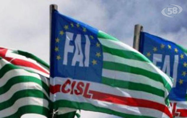 Forestali e consorzi di bonifica, la Fai Cisl chiede garanzie