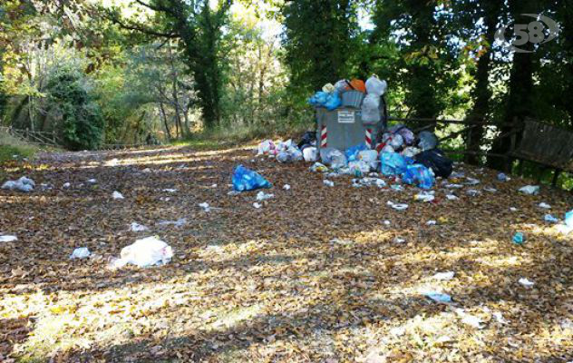 Sturno e Frigento, rifiuti abbandonati nel sottobosco: la denuncia dell'Ugl Polizia
