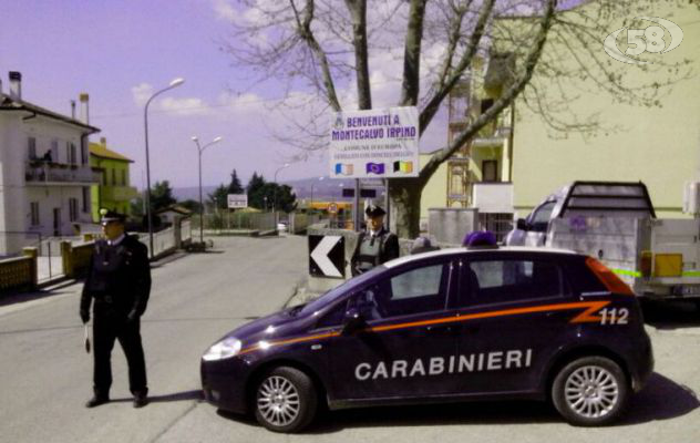 Carabinieri bloccano bracconiere: liberati gli uccelli catturatI/VIDEO