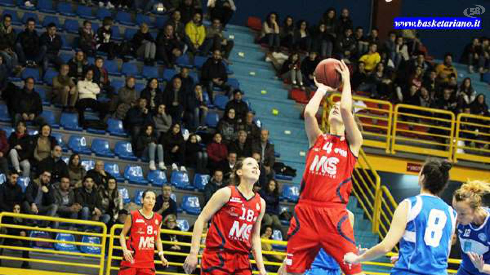 mcs mancinelli narviciute