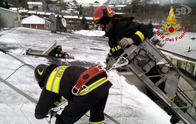 Non solo neve, il vento tormenta l'Irpinia/VIDEO. Alberi caduti e tetti pericolanti