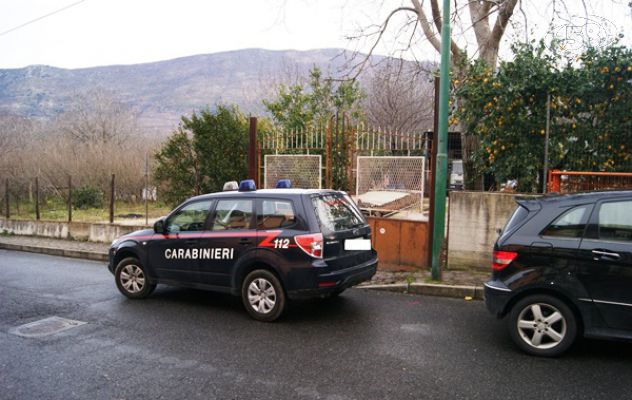 Spari contro camion di una ditta edile, s'indaga