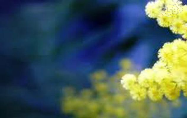 Giornata della donna, gli interventi della Consigliera di Parità 