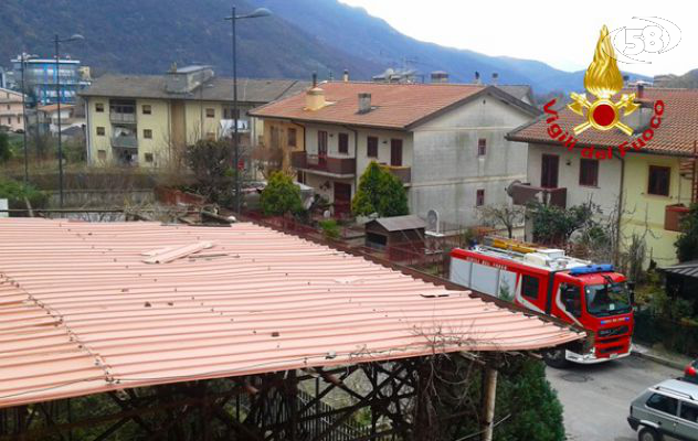 Il vento butta giù rami e tegole/FOTO/Albero su camion: conducente vivo per miracolo
