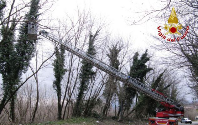 Raffiche di vento sull'Irpinia: alberi caduti in tutta la provincia