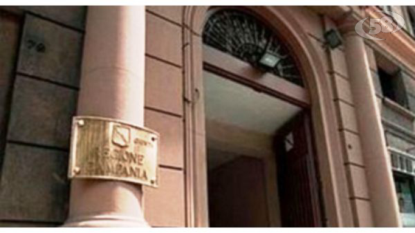 Maltrattamenti animali, l'assessore Fiorella Zabatta: "Daremo forza alle guardie zoofile" 