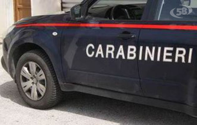 Cattura il cane e poi lo uccide a bastonate sotto gli occhi del padrone