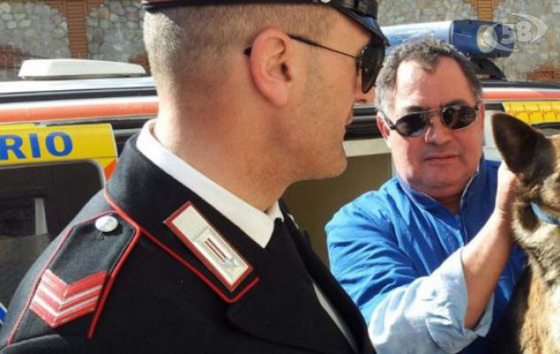 Cane scivola e resta intrappolato, salvato da Carabinieri