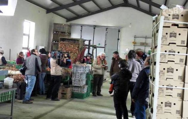 Monteverde e Bisaccia, le telecamere di "Linea verde" in Irpinia