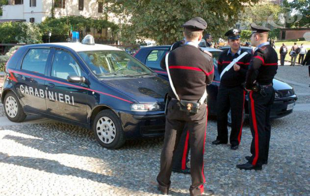 Cane sbranato da due pitbull: Carabinieri denunciano il proprietario