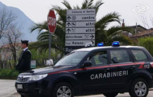 Olio di semi venduto come extravergine d'oliva, due denunce