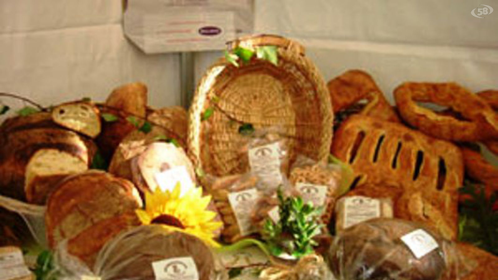 pane montecalvo