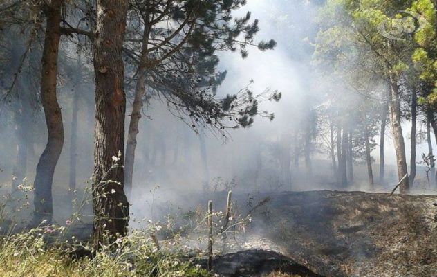 Il Monte Calvario brucia ancora: ettari di pineta mangiati dal fuoco
